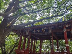 -乌山风景区