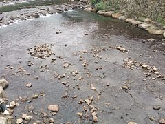 -北仑森林植物园