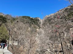 -泰山风景名胜区