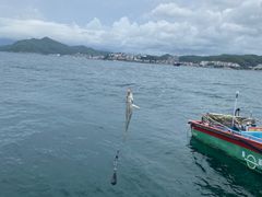 -深圳海钓·深圳钓鱼·拓展聚会鱼排