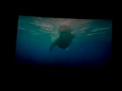 -万达影城(潍坊万达广场IMAX店)