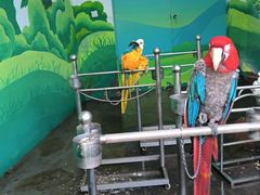 -西安秦岭野生动物园