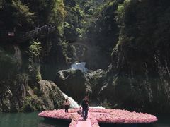 -龙湾潭国家森林公园