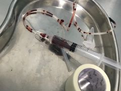 -中农大我爱我爱24h动物医院·中医针灸·猫专科·骨科医疗中心(双井店)