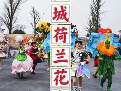 -荷兰花海