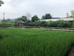 -驿舍·民國老营房院子私房菜(科学会堂店)