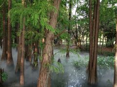 -东湖落雁景区