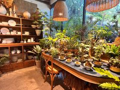 -自由生长植物工作室(深港花卉中心店)