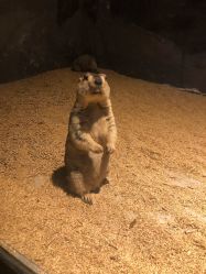 -酷嗒动物文化乐园(cutezoo西溪乐天城店)