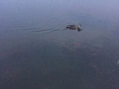 -前关湿地公园