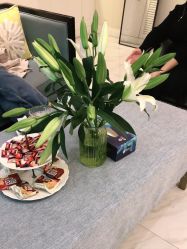 -静博士·养生养颜