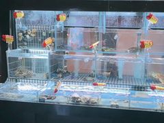 -苏淮景·苏闽融创菜·海鲜(原空港井河轩店)