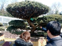 -水绘园