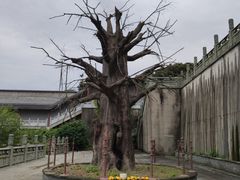 -南京市江宁方山