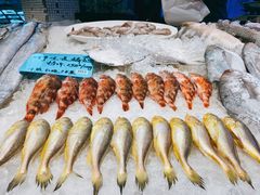 -骏莱海鲜鱼港(五角场店)