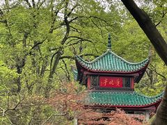 -岳麓山风景名胜区