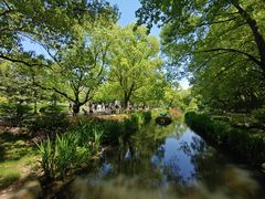 -上海共青森林公园