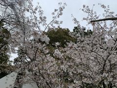 -范蠡湖公园