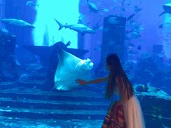 -迪拜帆船酒店海底餐厅