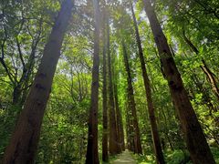 -同里国家湿地公园