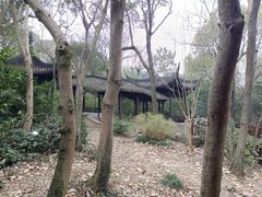 -上海佘山国家森林公园天马山园