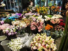 -双季花艺园艺市场(浦东店)