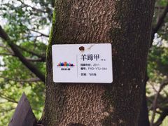 -成都欢乐谷
