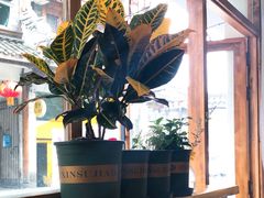 -infinite cafe