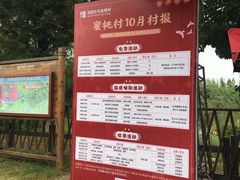 -田园东方蜜桃村的田野营地
