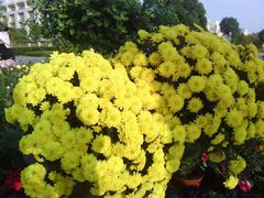 -上海海事大学(临港校区)