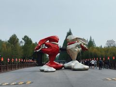 -黄海国家森林公园