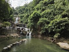 -鼎湖山风景区