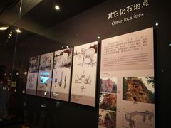 -北京周口店北京人遗址博物馆