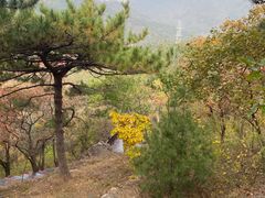 -北京十三陵国家森林公园蟒山景区