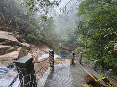 -九龙江国家森林公园