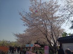 -堤角公园