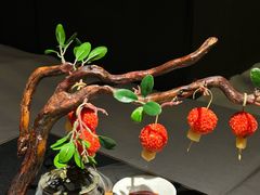 -唐猫庭院·千年陕菜(赛格国际购物中心店)