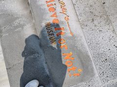 -信不信由你博物馆