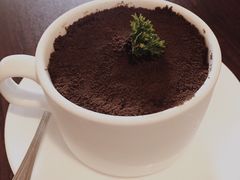 -喵园·猫主题咖啡厅·撸猫·猫咖(国贸店)