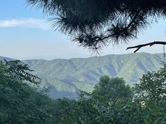 -北京西山国家森林公园