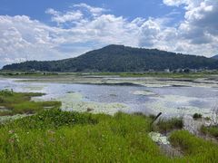 -腾冲北海湿地