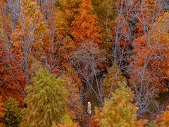 -南京市无想山景区