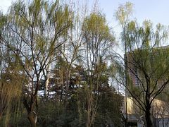-西安市长乐公园