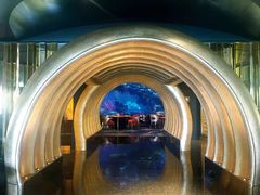 -迪拜帆船酒店海底餐厅