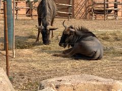 -郑州银基黄帝宫御温泉