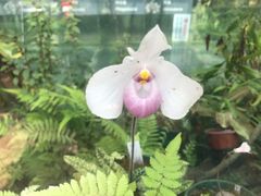 -国家植物园南园