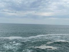 -广东惠东海龟国家级自然保护区