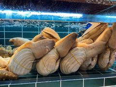 -雍容荟活帝王蟹活龙虾自助(苏宁旗舰店)