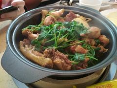 叹佬鸡煲-芳村榕树头叹佬鸡煲(体育西店)