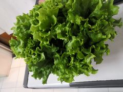 -香喷喷烤肉(滦平店)